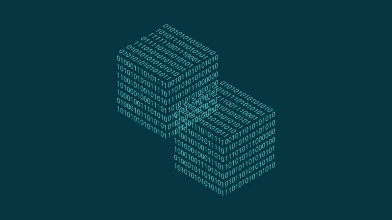 新野县信创改造:网络应用开发流程标准化的核心路径与实践